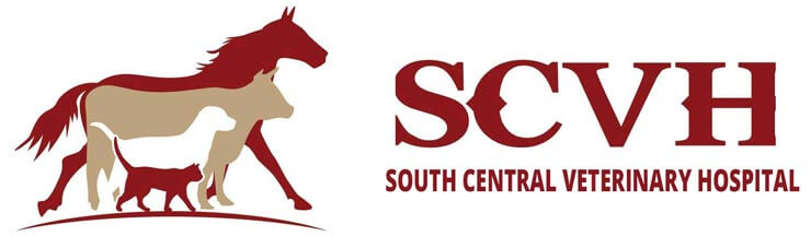 South Central Veterinary Hospital